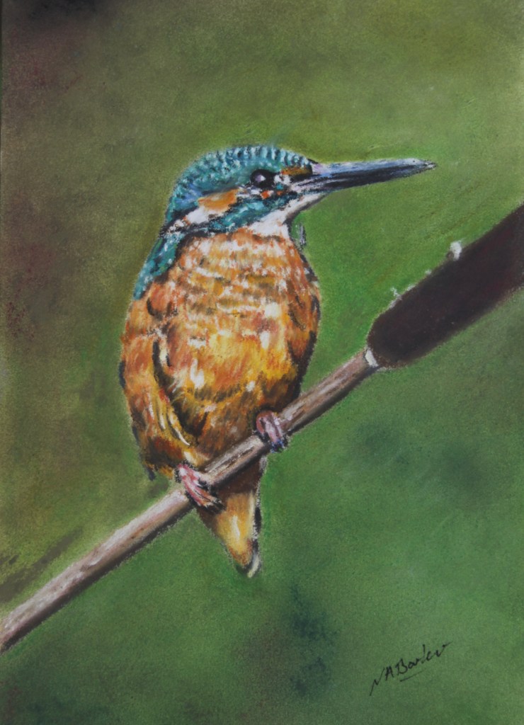 British Kingfisher - Pastel - Framed Original - £225 - Size 10"x12"