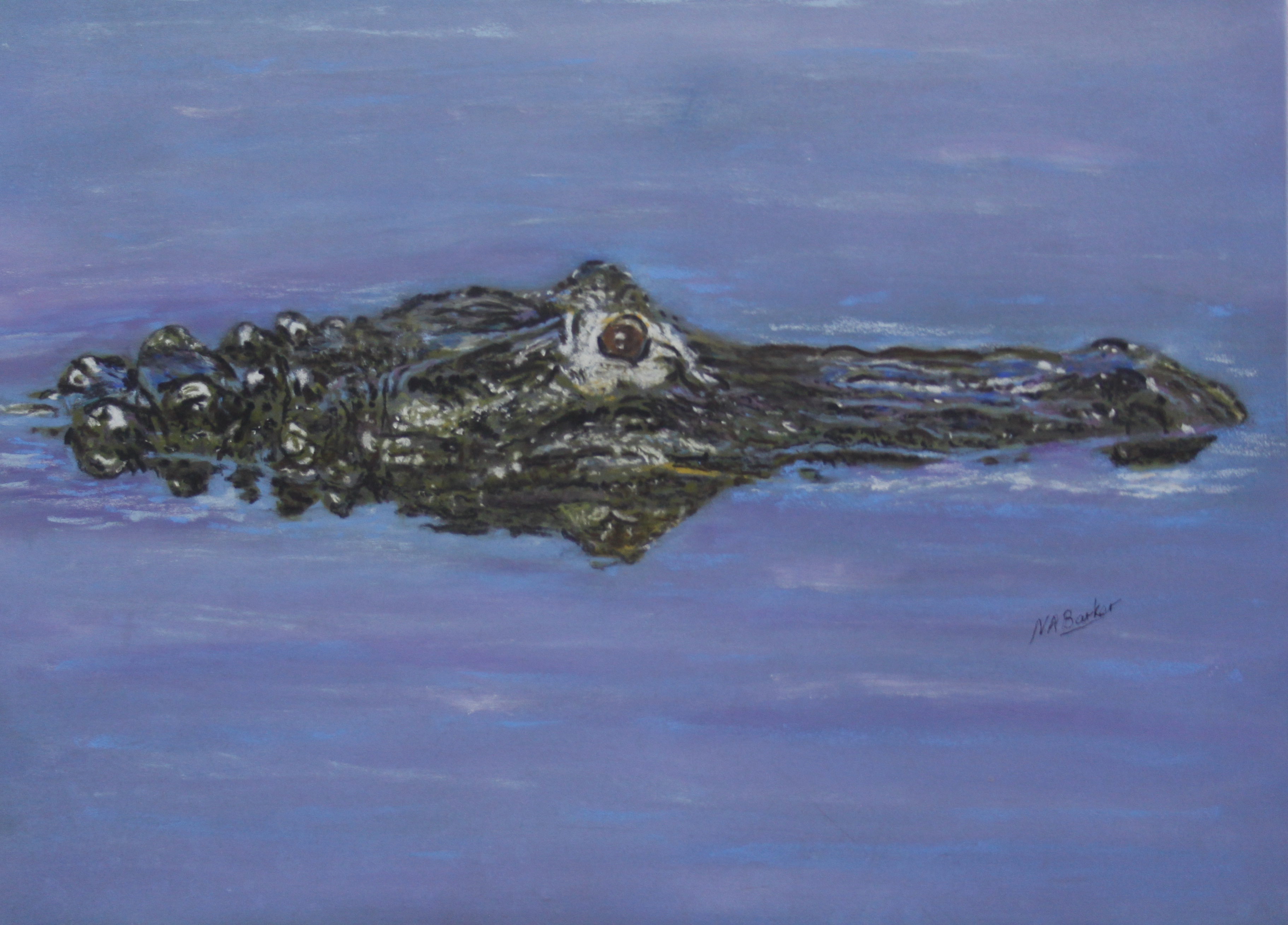 Alligator - Pastel - Framed Original - £300 Size 17"x11"