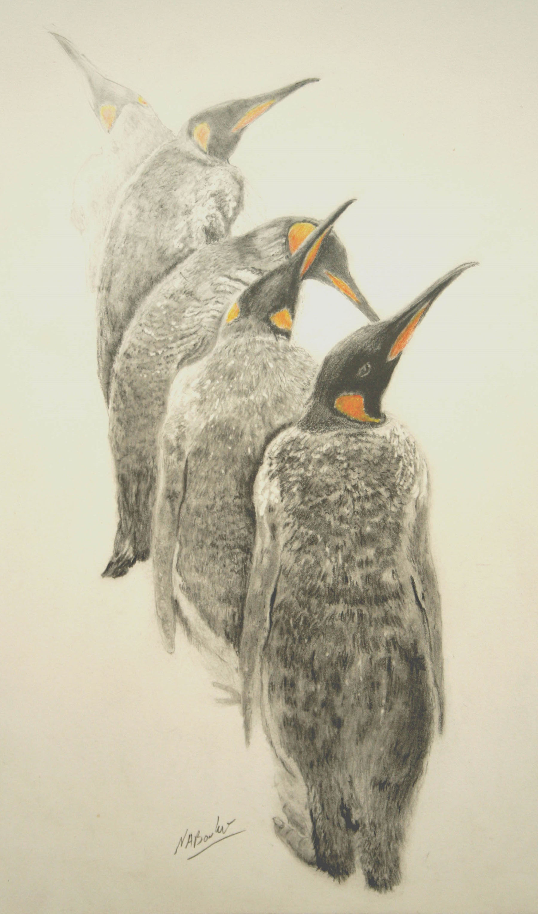 Every Which Way - Graphite Pencil with coloured pencil - £Sold