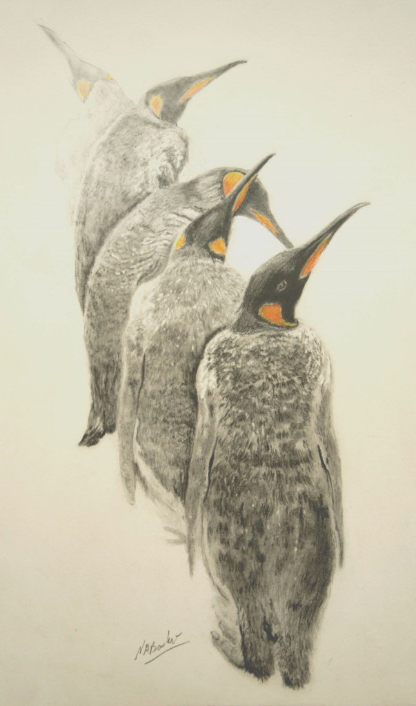 Every Which Way - Graphite Pencil with coloured pencil - £Sold