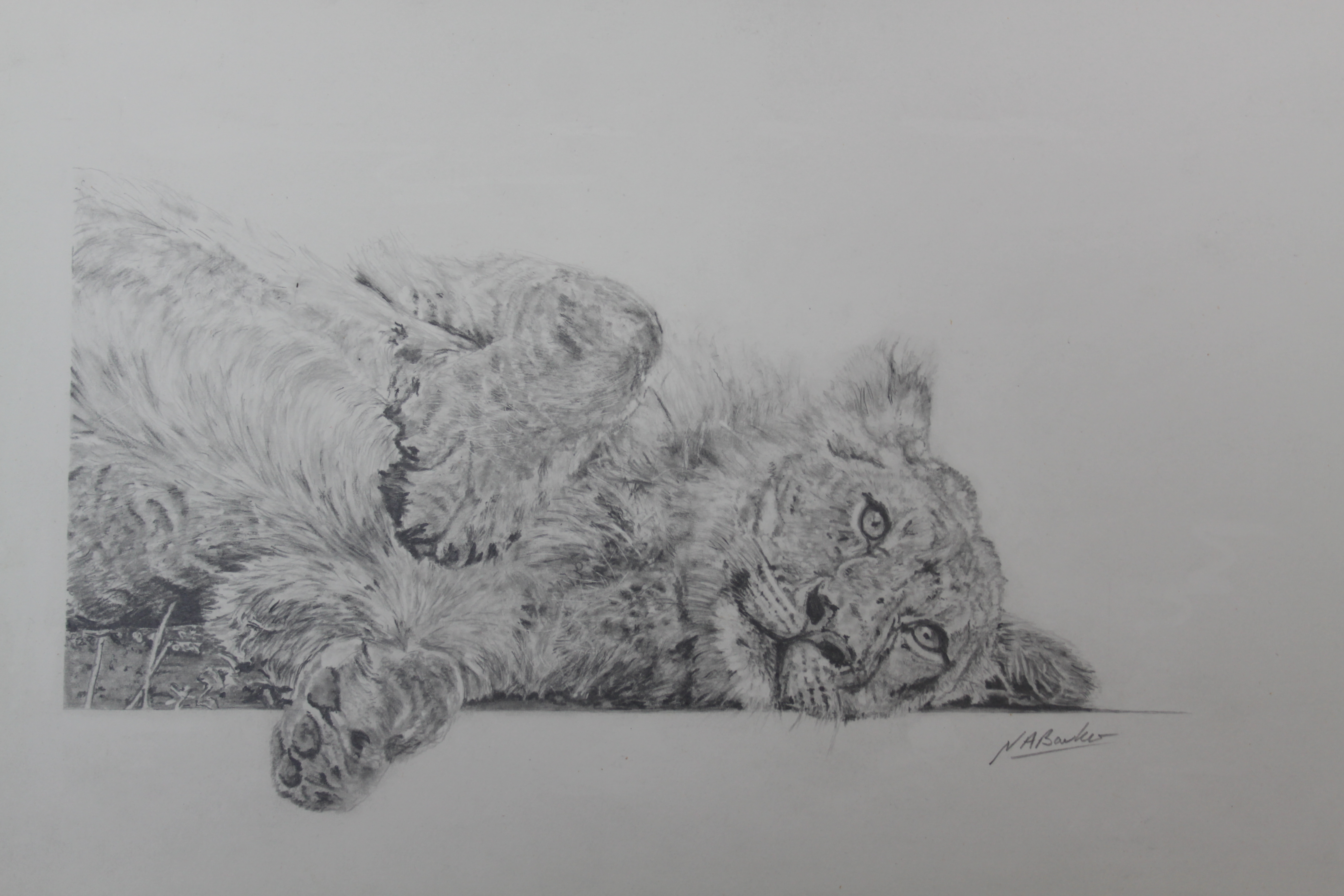 Paws for thought - Graphite Pencil - Framed Original - £200
