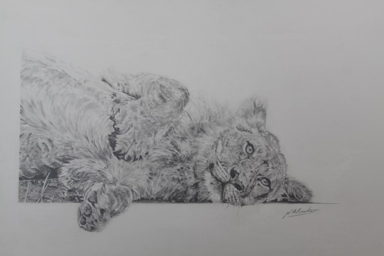 Paws for thought - Graphite Pencil - Framed Original - £200