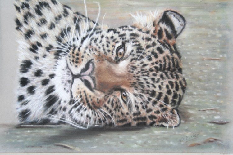Lazy Day - Pastel on Velour - Framed Original - £200