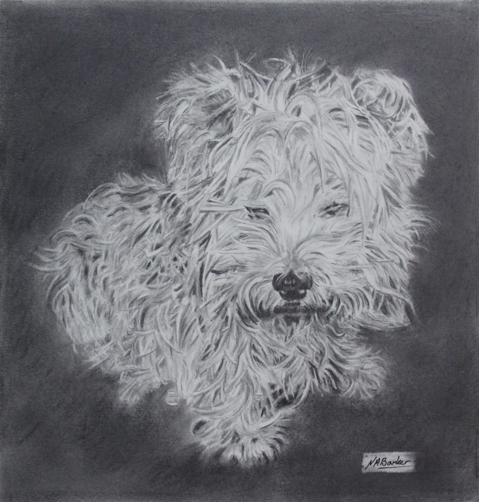 Commission - Lucy - Graphite