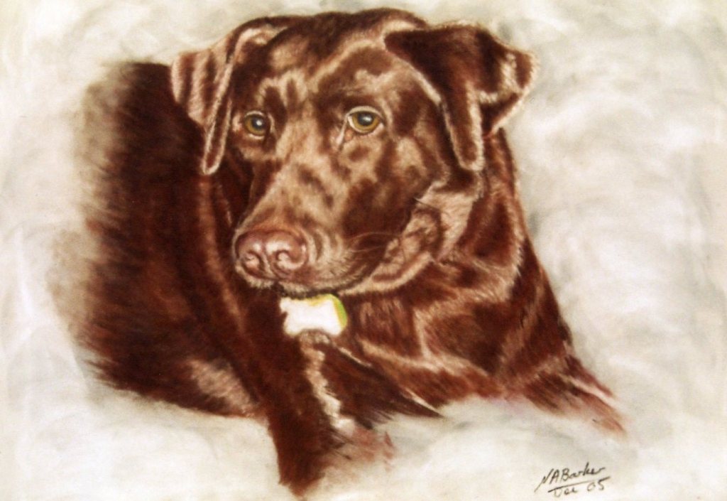 Commission - Chocolate Brown Labrador