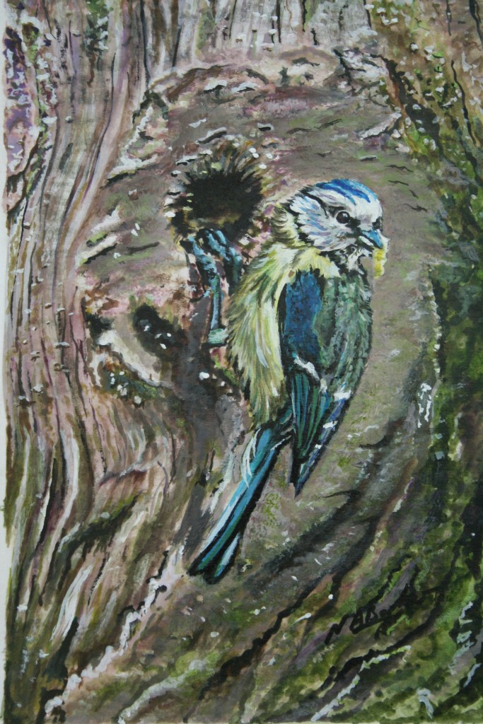 Blue Tit Feeding - Acrylic Ink - Framed Original - £100