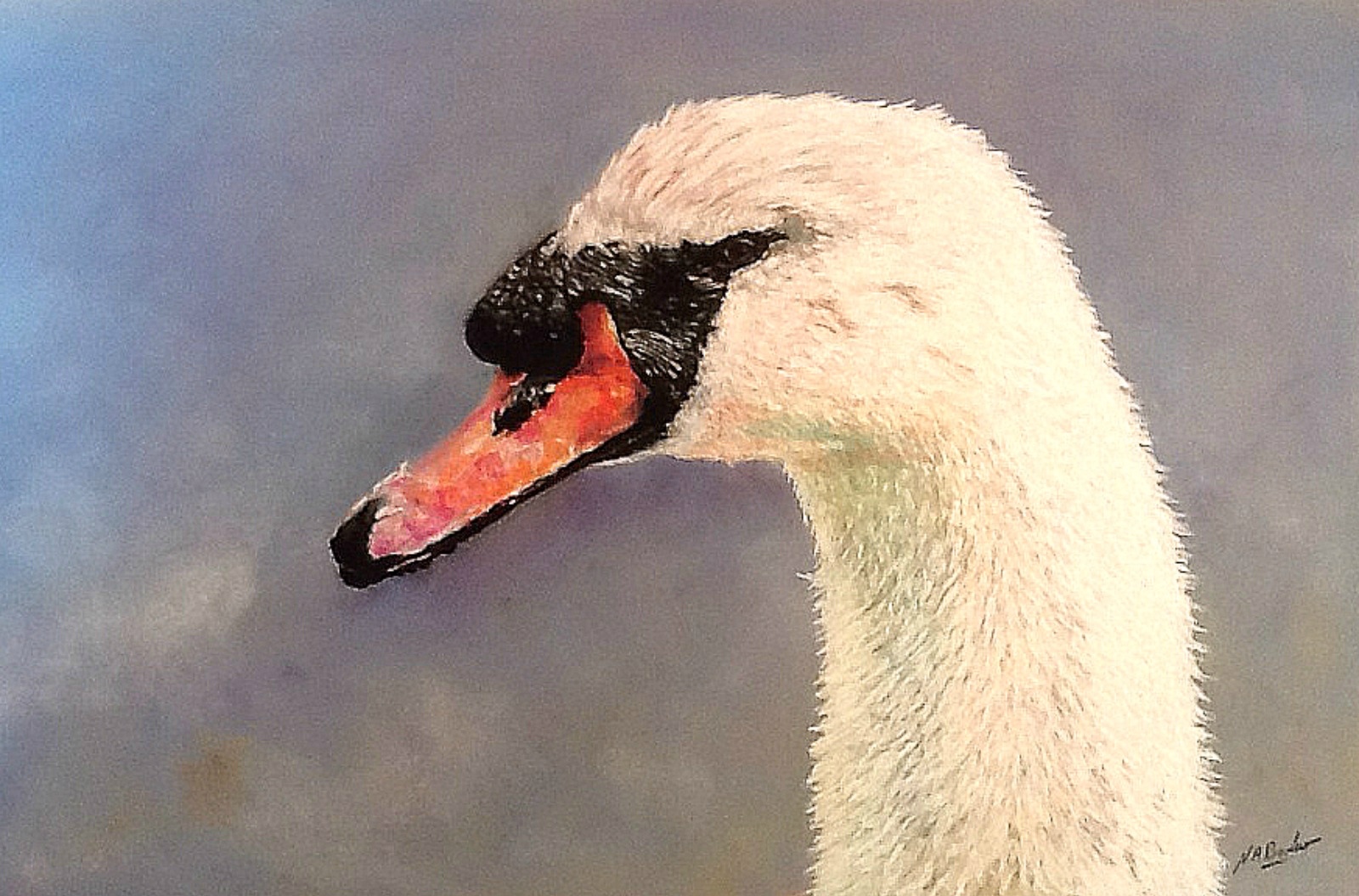 Mute Swan - Pastel - Framed Original - £950