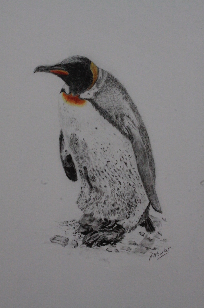 Can You See Me (Penguin I) - Graphite - Framed - £175