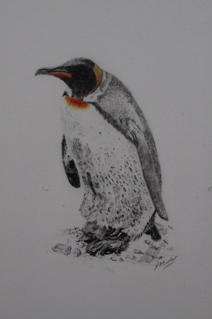 Can You See Me (Penguin I) - Graphite - Framed - £175