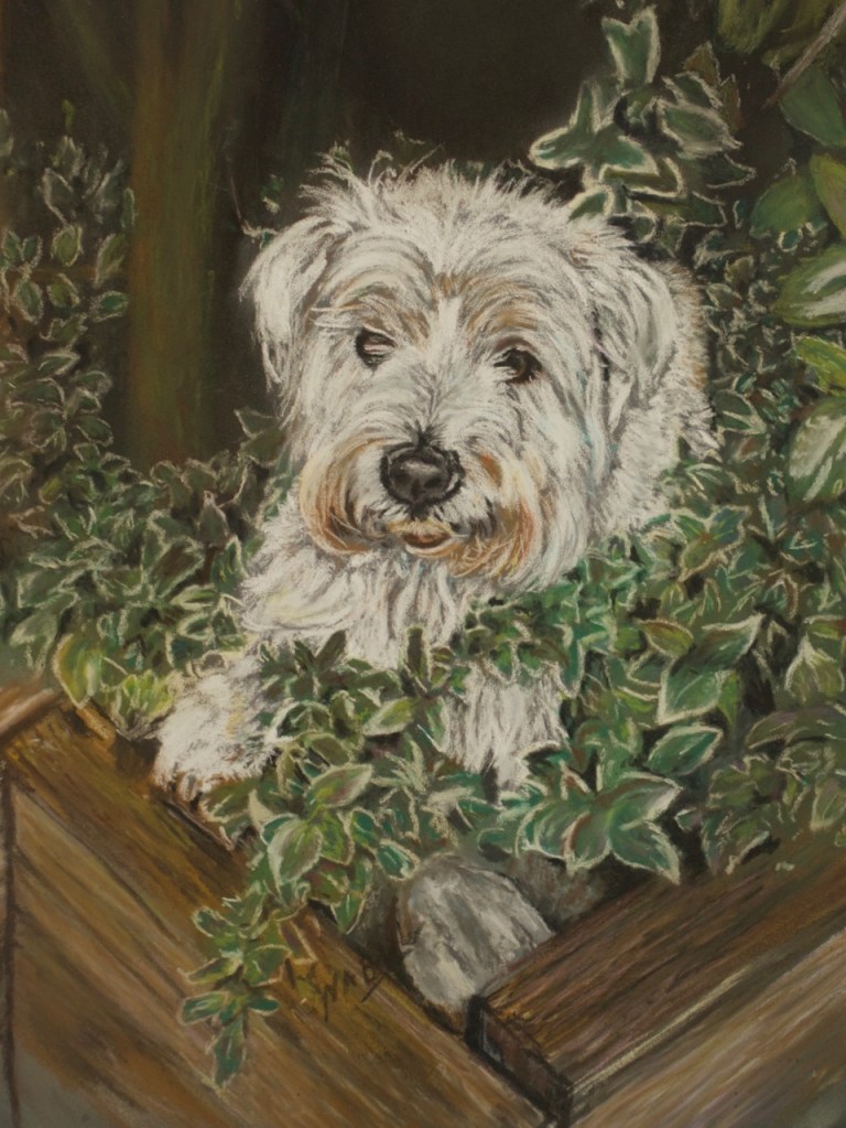 Commission - Beloved Pet - Pastel