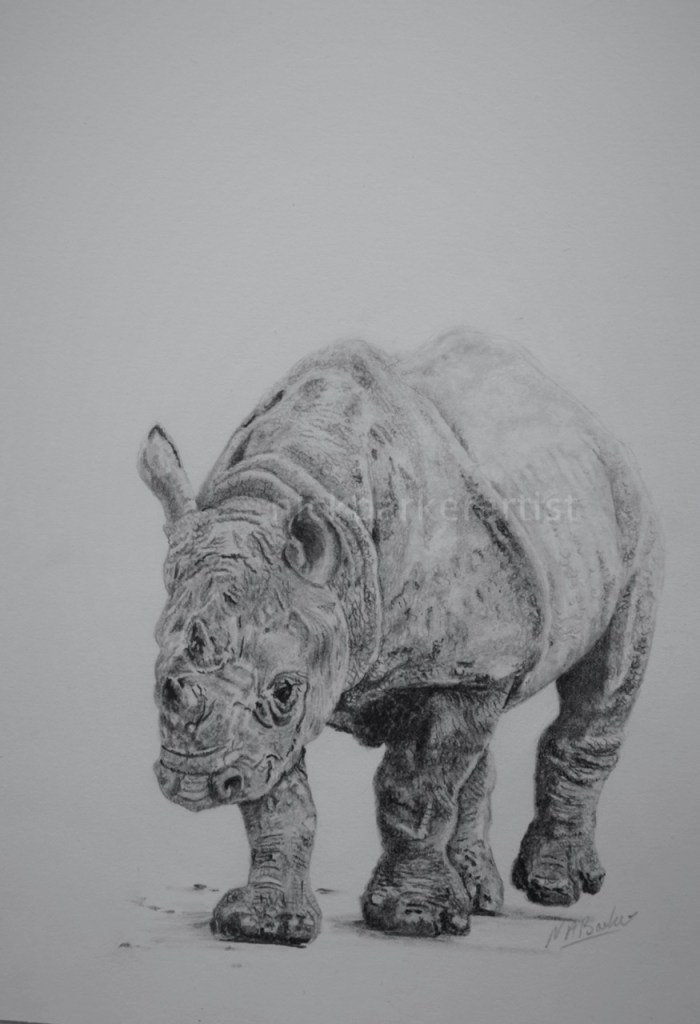 New Hope - Graphite - Unframed Original - £250