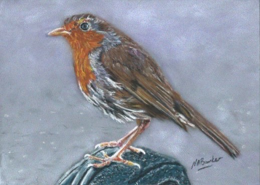 Robin II - Pastel - Framed Original - 32x26cm - £125