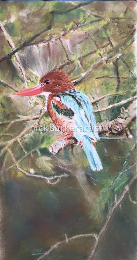 White Throated Kingfisher - Pastel - Unframed - £250