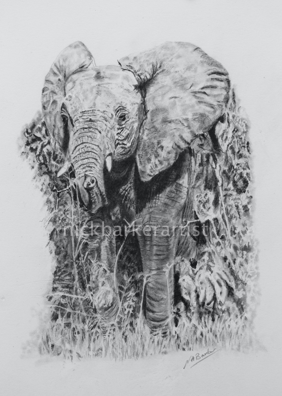 Young Ellie - Graphite - Unframed - £250