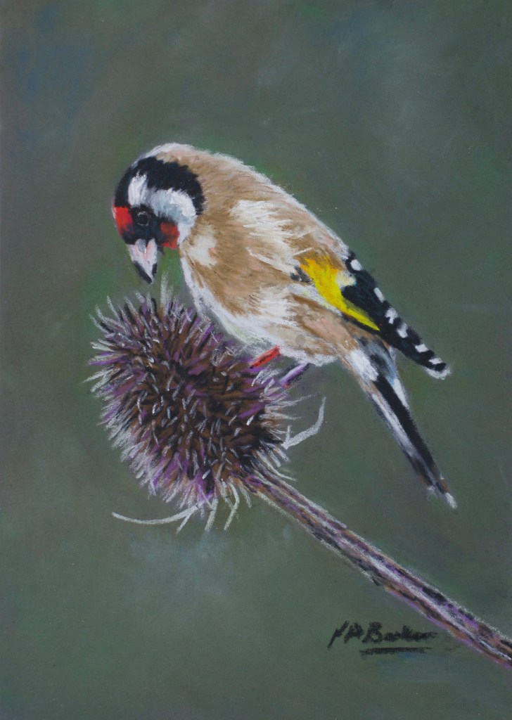 Goldfinch - Pastel on Ampersand Board - 18x12.5cm unframed - £150