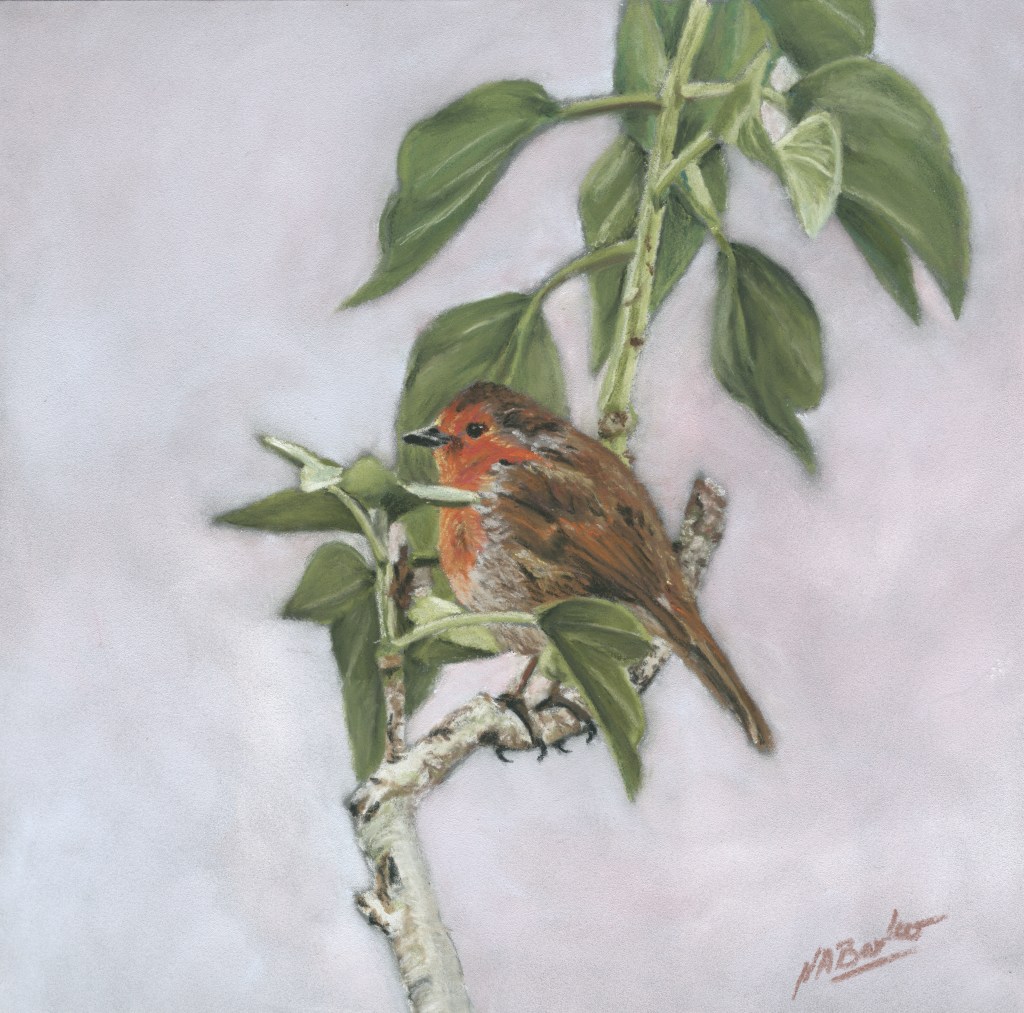 Titchfield Robin - Pastel on Ampersand Board - 20x20cm unframed - £150